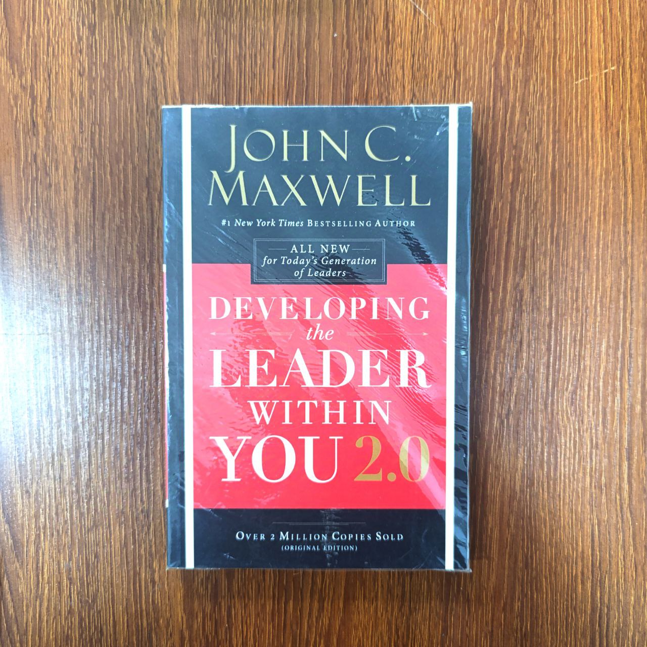 Developing the Leader Within You 