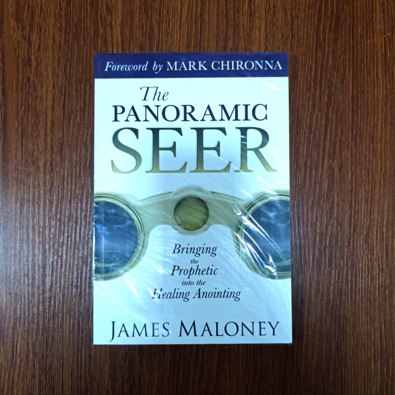 The Panoramic Seer by James Maloney