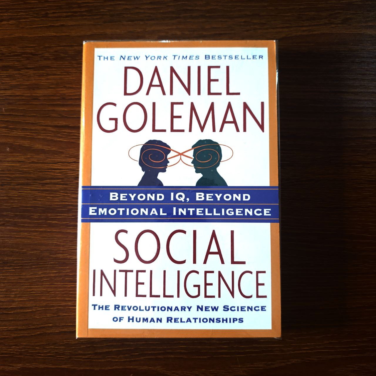 Social Intelligence by Daniel Goleman 
