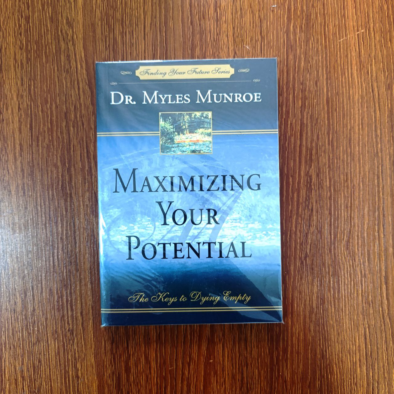 Maximizing Your Potential 